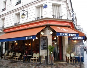 Chat-bossu-faubourg-saint-antoine-paris