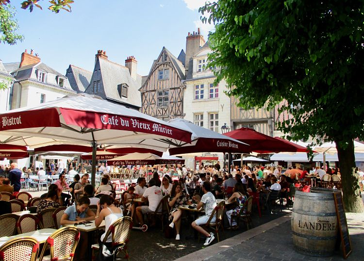 Vieux-murier-Tours-place-Plumereau