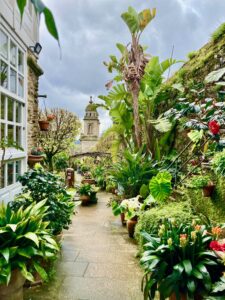 Costa Vella, c’est un café-jardin niché au coeur de la vieille ville de Santiago : une oasis pour les pèlerins après un si long chemin …