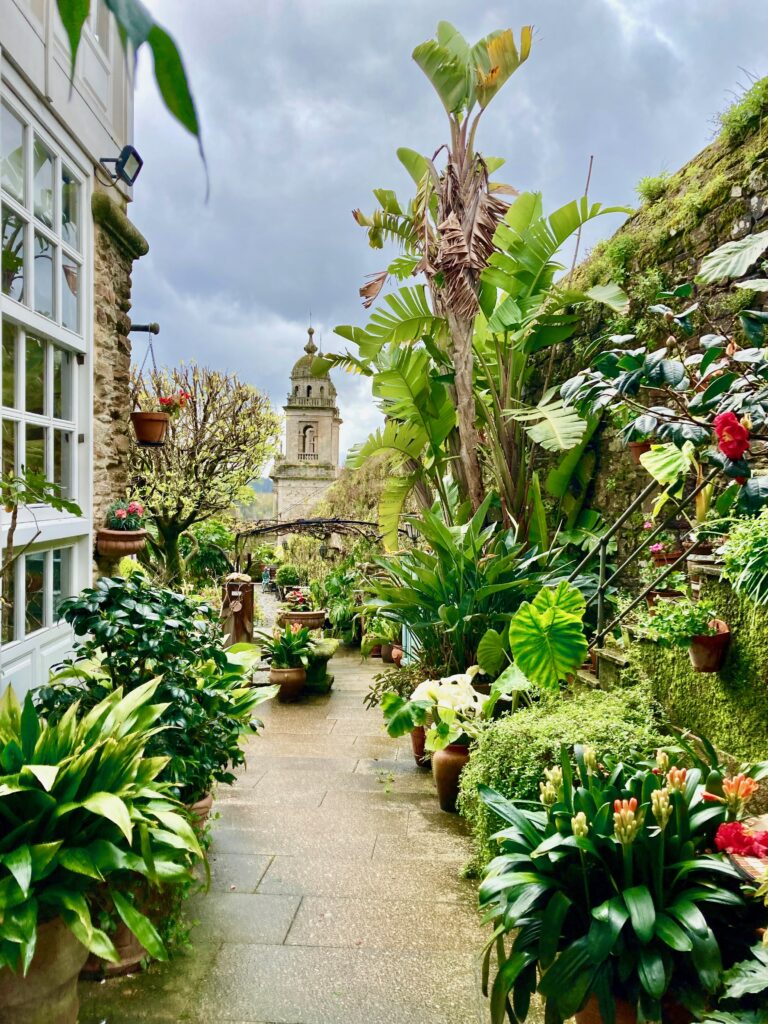 Costa Vella, c’est un café-jardin niché au coeur de la vieille ville de Santiago : une oasis pour les pèlerins après un si long chemin …